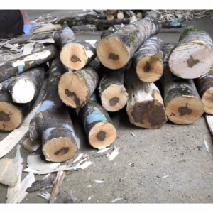 vn 11134207 7r98o lsdma1hj3nic4c